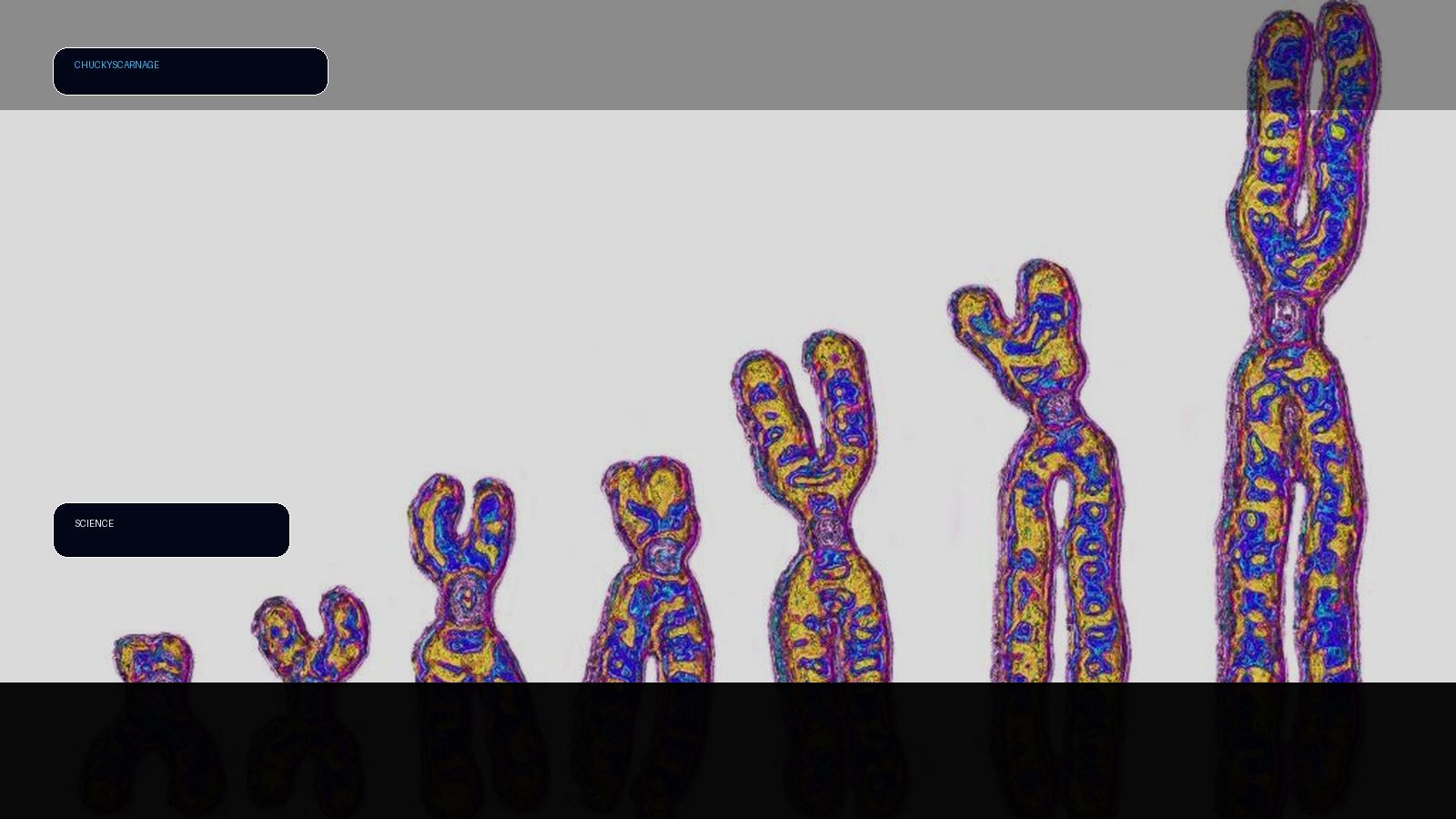 Scientists found two mysterious ‘ghost’ ancestors hiding in our DNA illustration