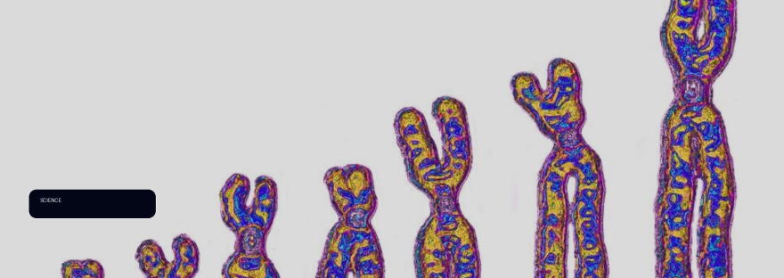 Scientists found two mysterious ‘ghost’ ancestors hiding in our DNA illustration