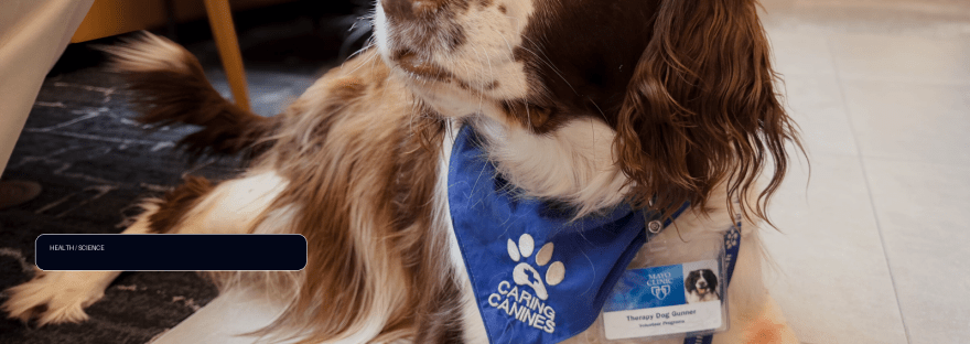 Study highlights benefits of animal-assisted treatment in stroke rehabilitation illustration