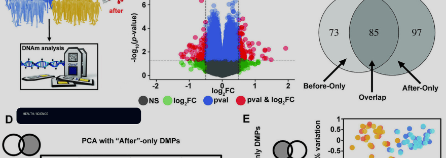 One month on a vegan diet shifts epigenetic patterns associated with aging illustration