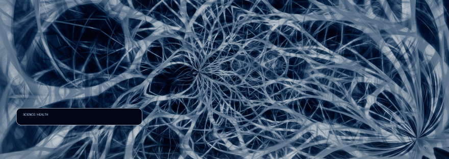 Researchers discover how tumors enlist nerves to keep growing illustration