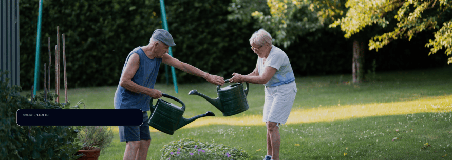 How home gardens can reduce risk of type 2 diabetes illustration
