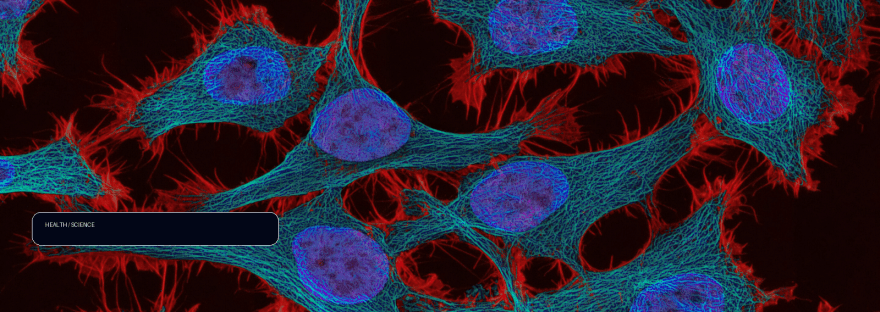 A new drug that can potentially overcome cancer therapy resistance illustration
