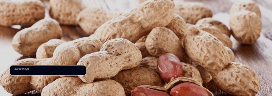 Swallowing faecal capsules reduces peanut allergy in six adults illustration