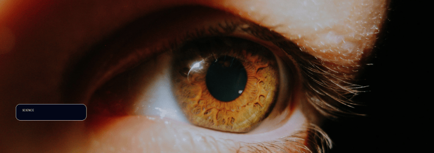 Why do people's pupils dilate when they're surprised? Researchers explain illustration