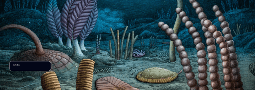567-million-year-old fossils rewrite the dawn of animal life illustration