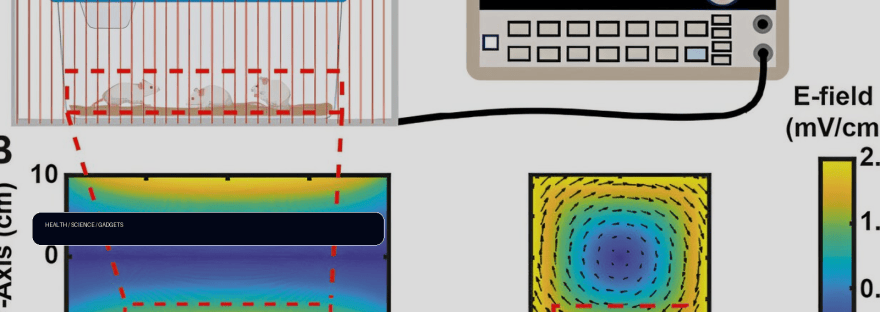 Wearable electric-field device slows aggressive breast cancer in preclinical study illustration
