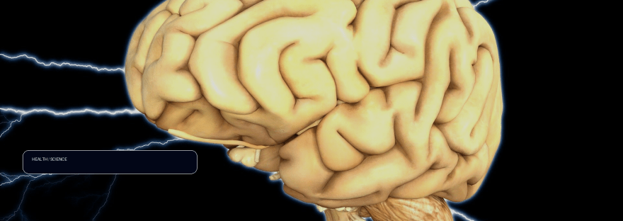 Study identifies promising therapy to prevent relapses in rare neurological disease illustration