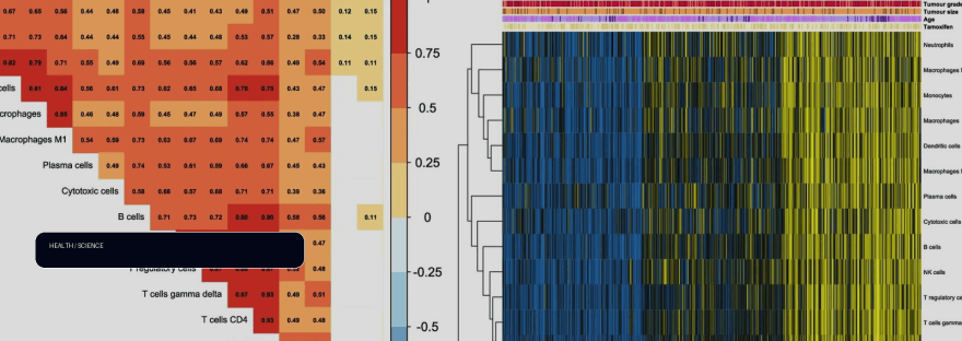 Cells in breast tumor microenvironment may reveal who benefits most from hormone illustration