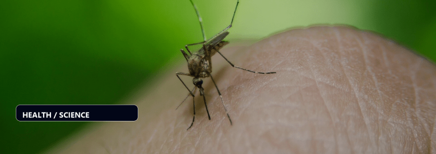 Malaria vaccine add-ons activate three antibody targets illustration