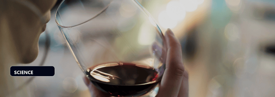 How your core personality traits predict your drinking habits over time illustration