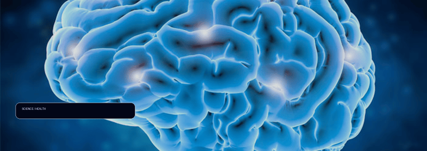 New study suggests anxiety symptoms drive the physical stress markers linked illustration