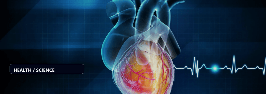 Scientists reveal how much exercise you really need to protect your heart illustration