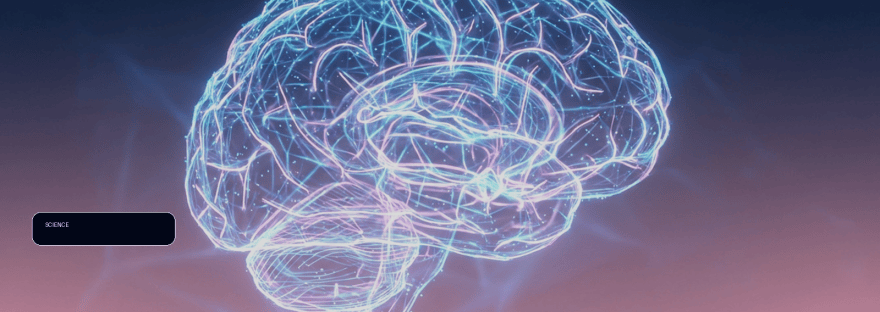 The hidden architecture of forgotten first languages in the human brain illustration