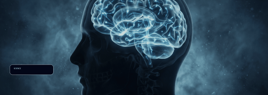 Decreased sleep in adolescents is linked to lasting changes in how illustration