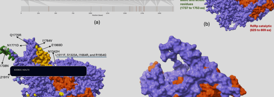 Researchers help identify new Ebola variant and potential treatment illustration