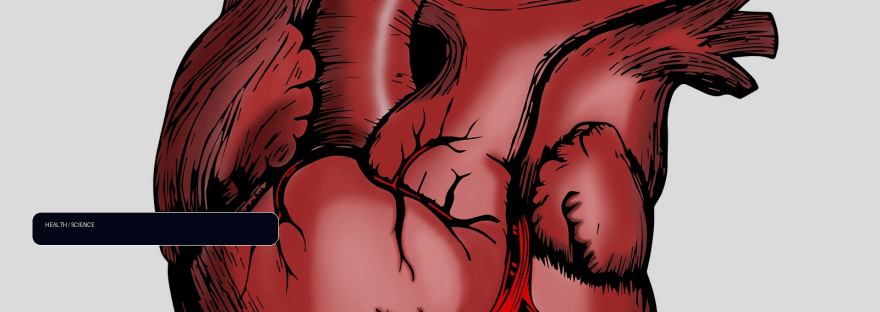 Molecular mapping reveals hidden cellular programs in heart transplant rejection illustration