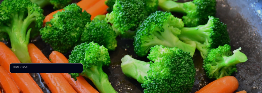 Broccoli could treat untreatable rare nerve disease illustration