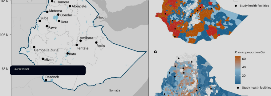 Study reveals growing signs of malaria drug resistance in Ethiopia illustration