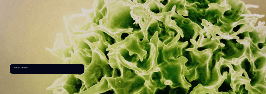New analysis explains why bone marrow cancer T cells may need therapeutic illustration
