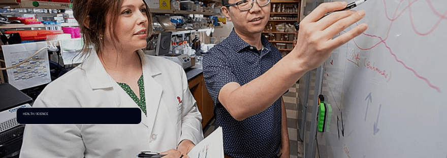 MBNL1 identified as a potential cancer drug target for a type illustration