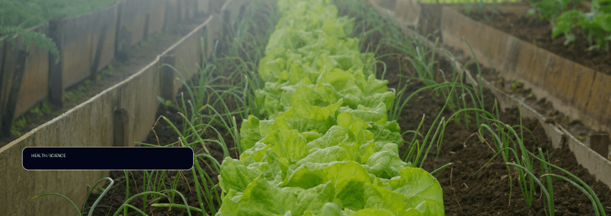 Cyclospora spreads through human waste illustration