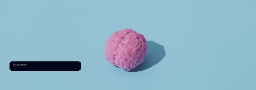 Long before adulthood, a chemical mark may quietly shape how the brain illustration