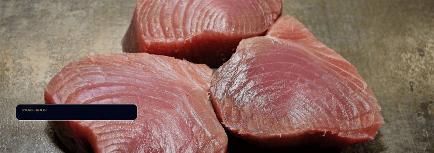 Fish on trial: Does this 'brain food' help prevent Alzheimer's disease? illustration
